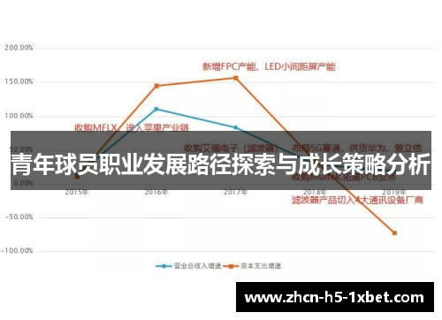 青年球员职业发展路径探索与成长策略分析