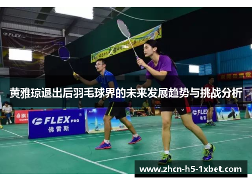 黄雅琼退出后羽毛球界的未来发展趋势与挑战分析 黄雅琼退出后羽毛球界的未来发展趋势与挑战分析