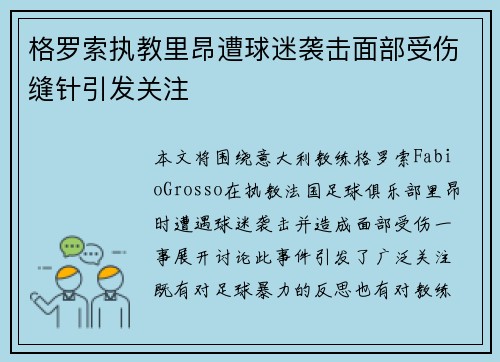 格罗索执教里昂遭球迷袭击面部受伤缝针引发关注 格罗索执教里昂遭球迷袭击面部受伤缝针引发关注